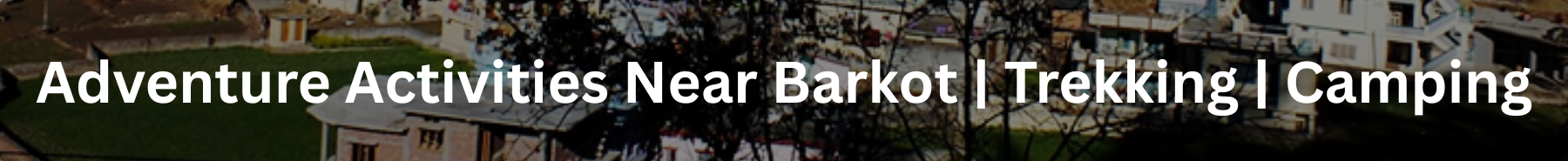 Inner Banner of Consumer Affairs