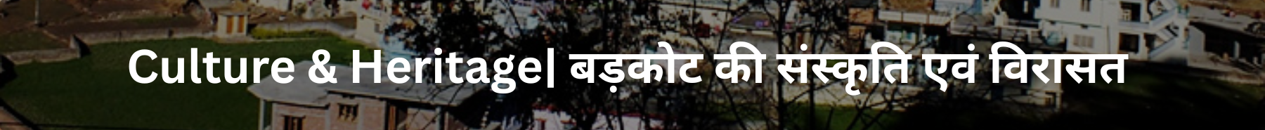 Inner Banner of Consumer Affairs